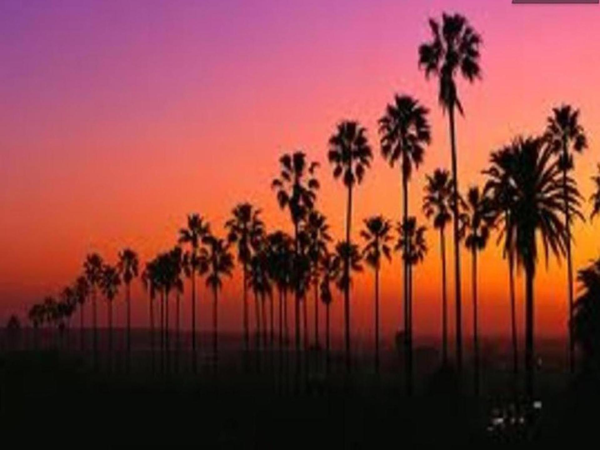 Venice Beach Apartments Monthly Rents Los Angeles Exterior foto